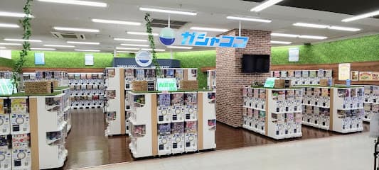 ガシャココ 上水戸(カプセルトイ専門店)