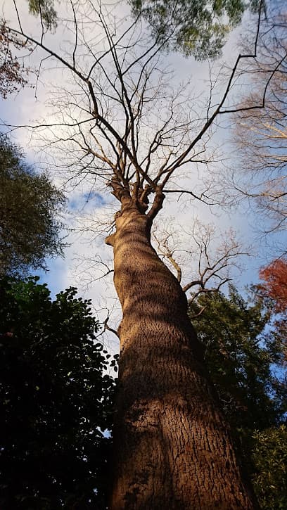百樹園