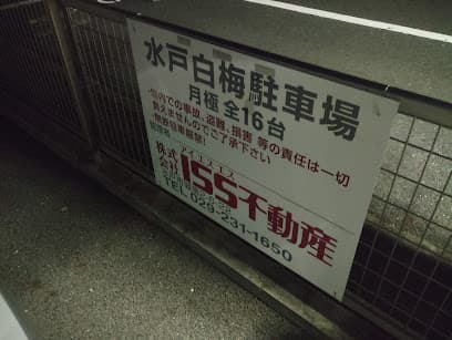 水戸白梅駐車場