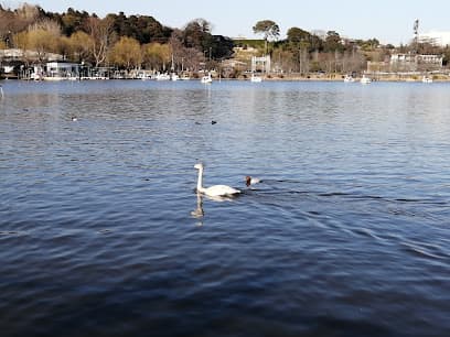 千波公園 少年の森